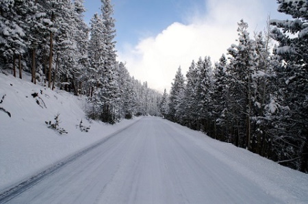 Montana winter scene
