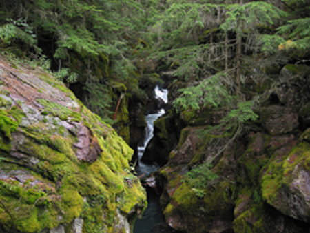 Avalanche Creek gorge