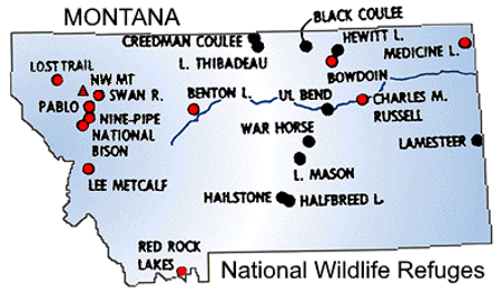 National wildlife refuges MT