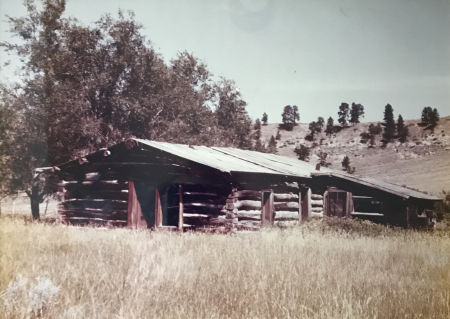 pioneer home MT