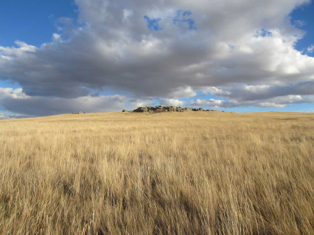 prairies MT