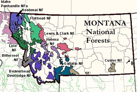 National Forests Montana