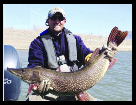 Northern Pike 