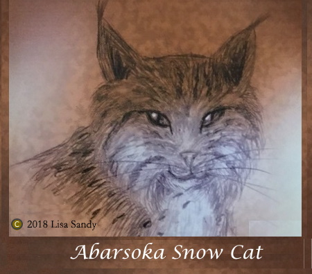Snow Cat