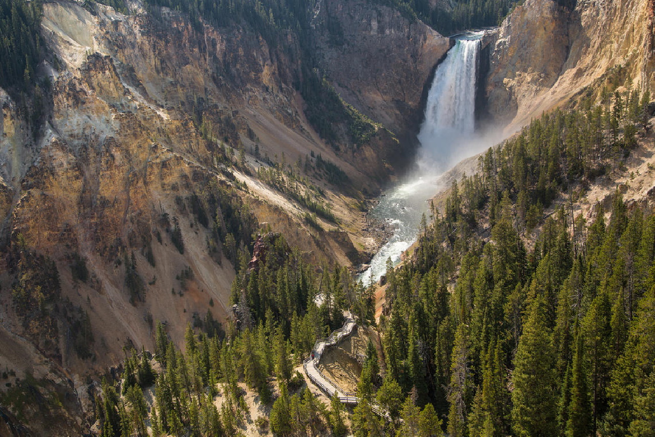 Lower Falls Yellowstone